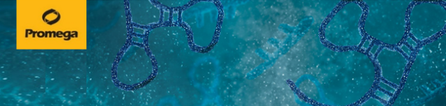 Feb+miRNA+Workflow+Email+Banner+605x155.png