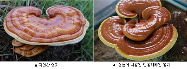 d4915e02-cd7a-4f51-9cdd-ee613b912164.jpg