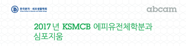 59e4622e3e8fa.png