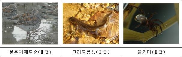 20180111085621.jpg