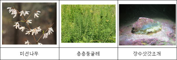 20180111085637.jpg