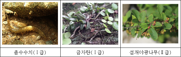 20180111085654.jpg