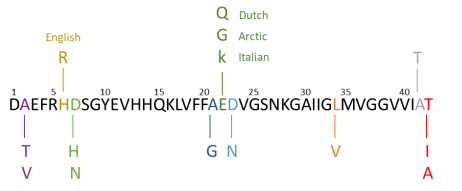 2.PNG