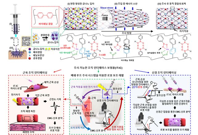 하이드로젤 조직 보철물 설계 및 작동원리