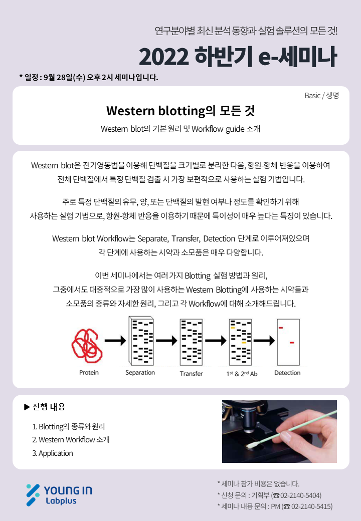 [영인랩플러스] Western blotting의 모든 것