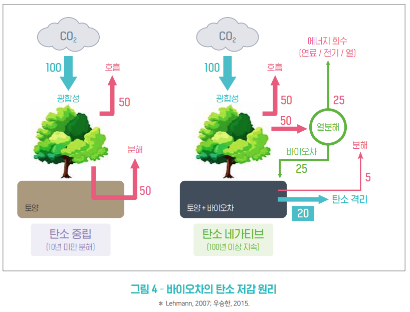 바이오차의 탄소 저감 원리