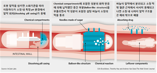 로봇 알약 작용 개념도 이미지