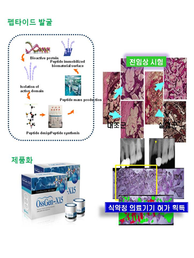 펩타이드 기반 융합 바이오소재 이미지