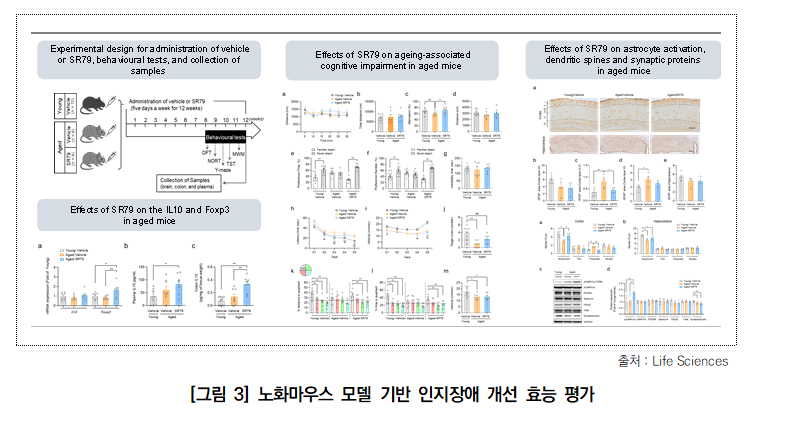 차트 썸네일 이미지
