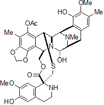 군체멍게 Ecteinascidia turbinata와 ecteinascidin 743 이미지