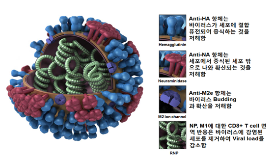 차트 썸네일 이미지