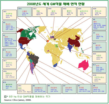 2008년도 세계 GM 작물 재배 면적 현황 이미지
