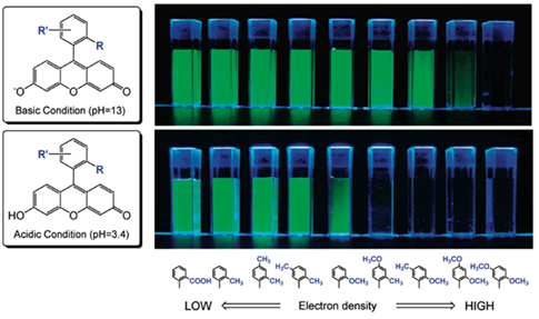 치환기의 electron density에 따른 fluorescein의 형광 밝기 변화 이미지