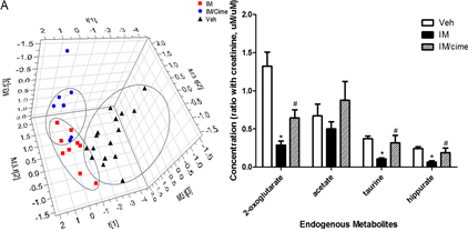 [2013 생명공학백서 | 그림 4-1-20] Nuclear magnetic resonance-based metabolomics for prediction of gastric damage induced by indomethacin in rats. (쥐 뇨시료내의 대사체 변화 및 위 손상 biomakeremf의 변화) 이미지