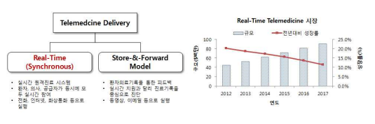 Real-Time 원격의료 시장 이미지
