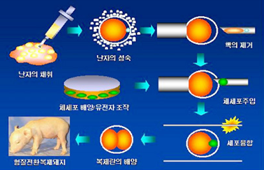 그림입니다.
원본 그림의 이름: CLP000010c40003.bmp
원본 그림의 크기: 가로 3200pixel, 세로 1080pixel