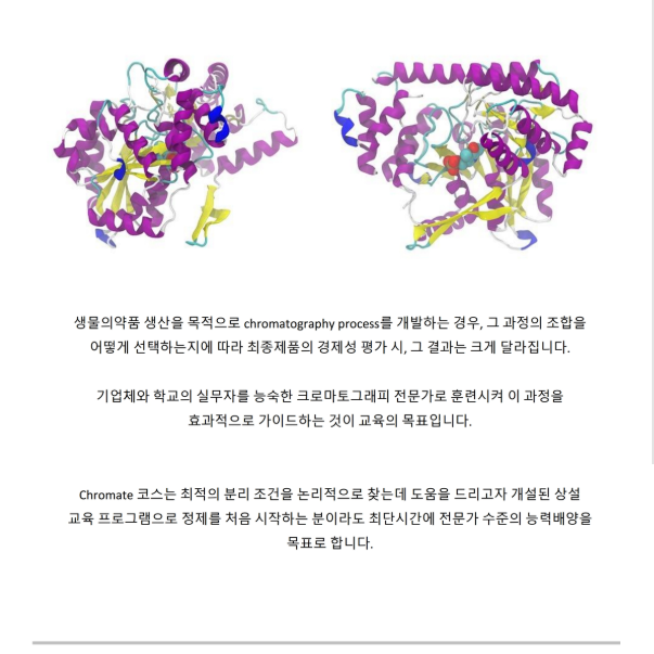 캡처.PNG