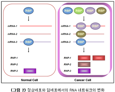 lab_04.jpg