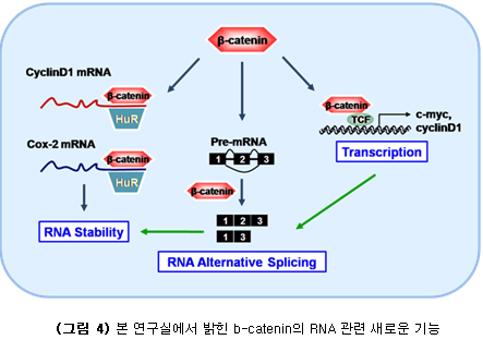 lab_06 (1).jpg