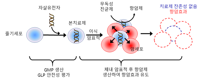 99B6F6335A1CF93D19 (1).png