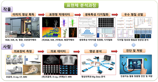 표현체분석과정.png