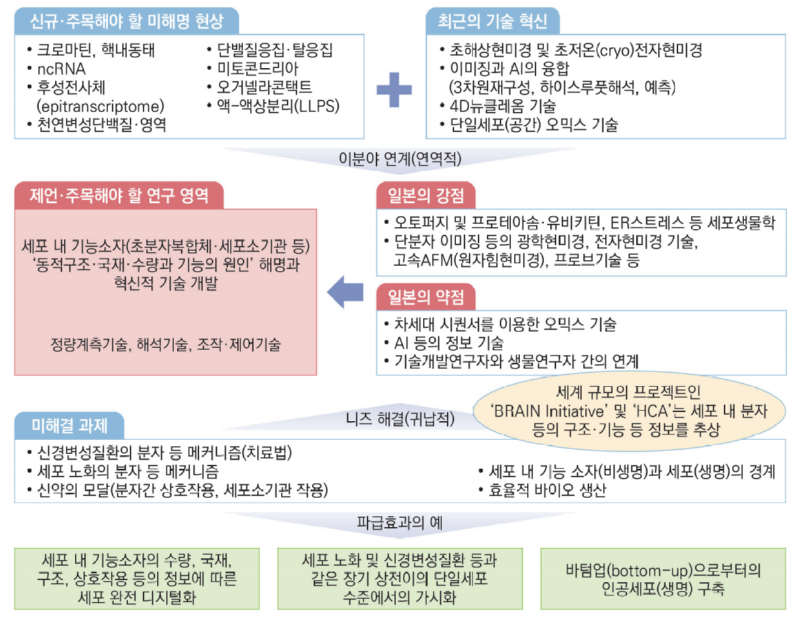 캡처.PNG