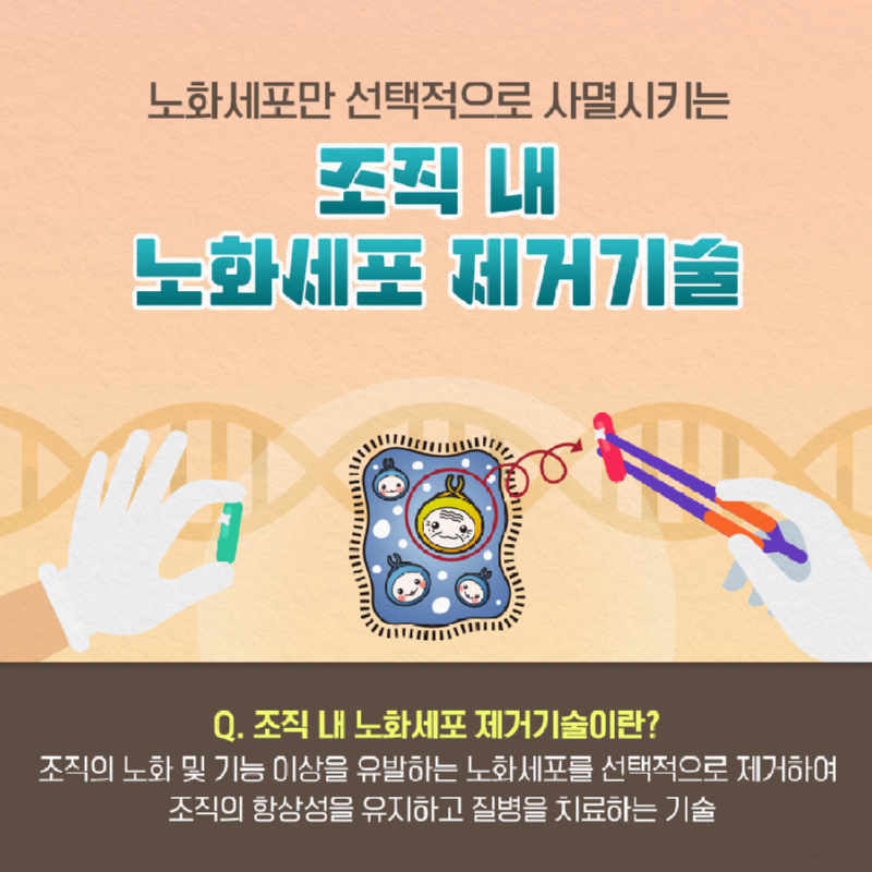 바이오인_레드바이오07.png
