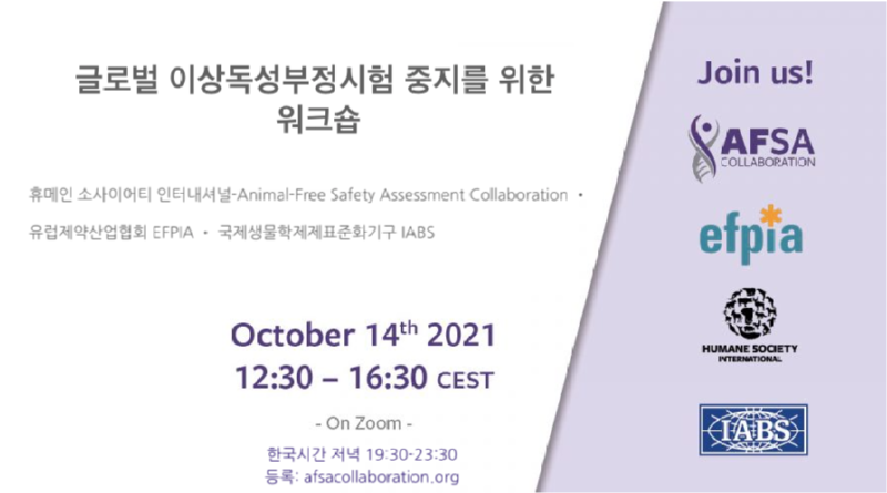 글로벌 워크숍.png