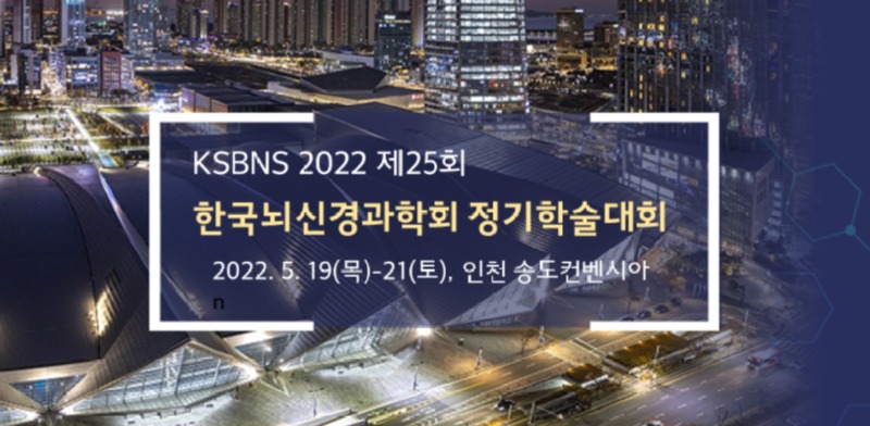 뇌신경.jpg