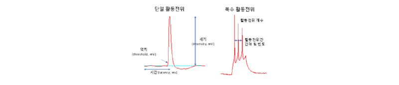 research-pic2.png