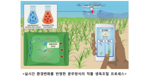 캡처1.png