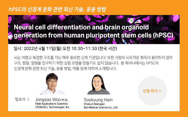 stemcell_05.png
