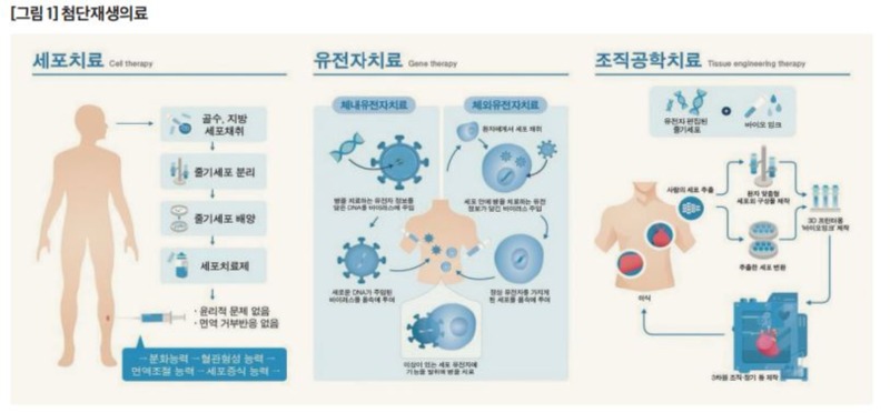첨단재생의료1.JPG